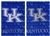 University of Kentucky Wildcats Suede Glitter Silk Flag