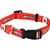 Louisville Cardinals Dog Collar