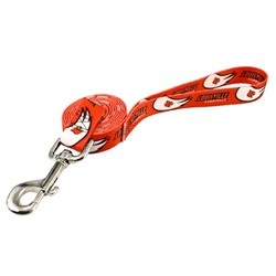 Louisville Cardinals Medium Dog leash