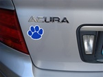 Kentucky Wildcats Paw magnet