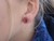 Louisville Cardinal earrings