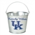 Kentucky Wildcats Landscape Logo Statute